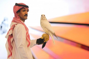 السعودية: بيع أغلى صقر في العالم بنصف مليون دولار