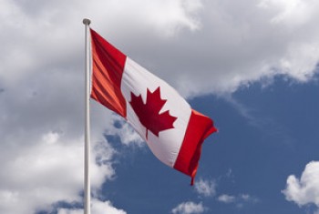 كندا تشتري 140.000 اختبار دم لبدء العمل على اختبارات المناعة ضد COVID-19